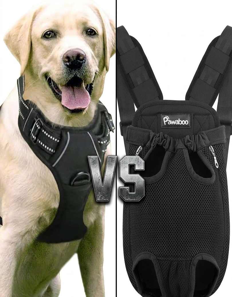 Arnés rabbitgoo vs. Julius-K9: diferencias de ajuste y enganche
